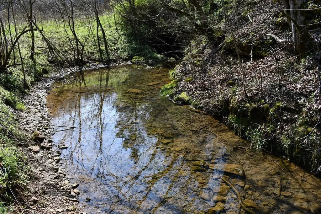 101.3AC Dry Mill Creek Hilham TN 38568