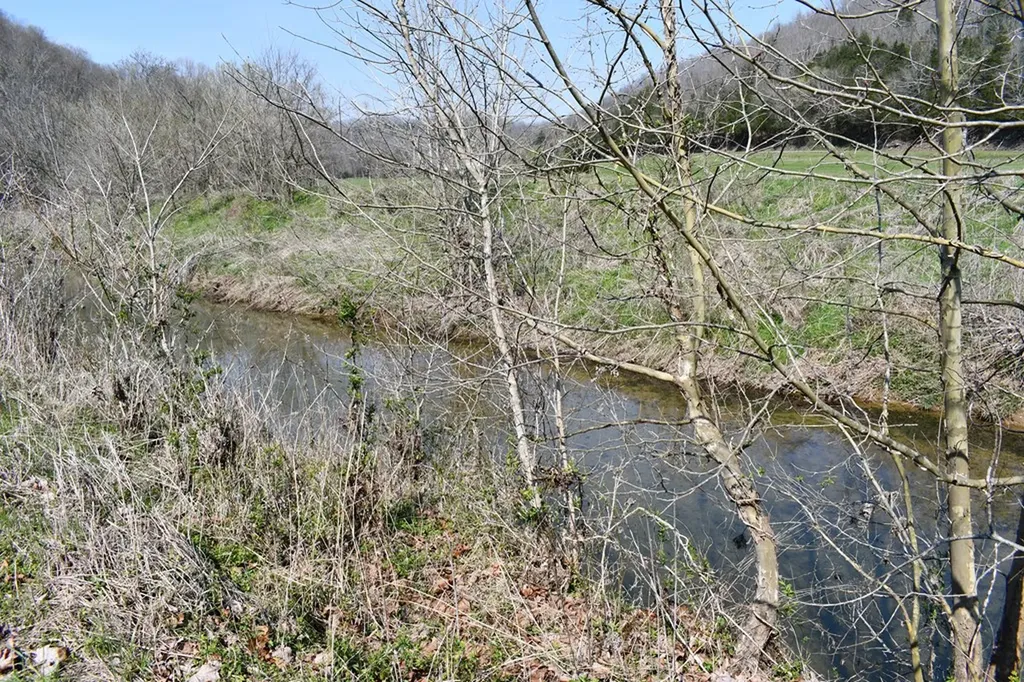 31.14 Ac Dry Mill Creek Road Hilham TN 38568