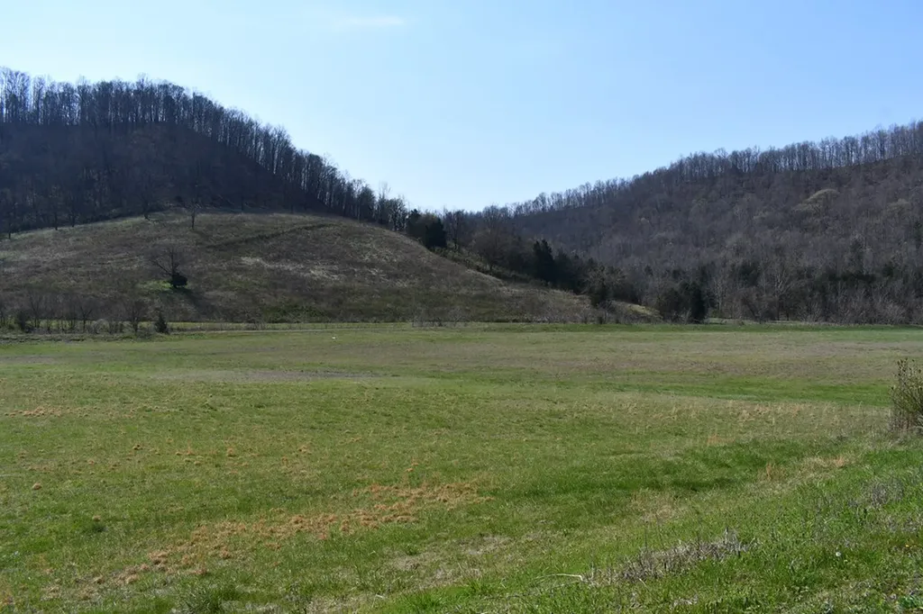 31.14 Ac Dry Mill Creek Road Hilham TN 38568