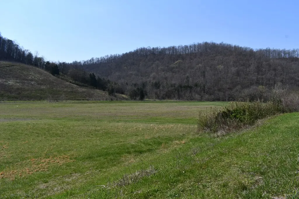 31.14 Ac Dry Mill Creek Road Hilham TN 38568