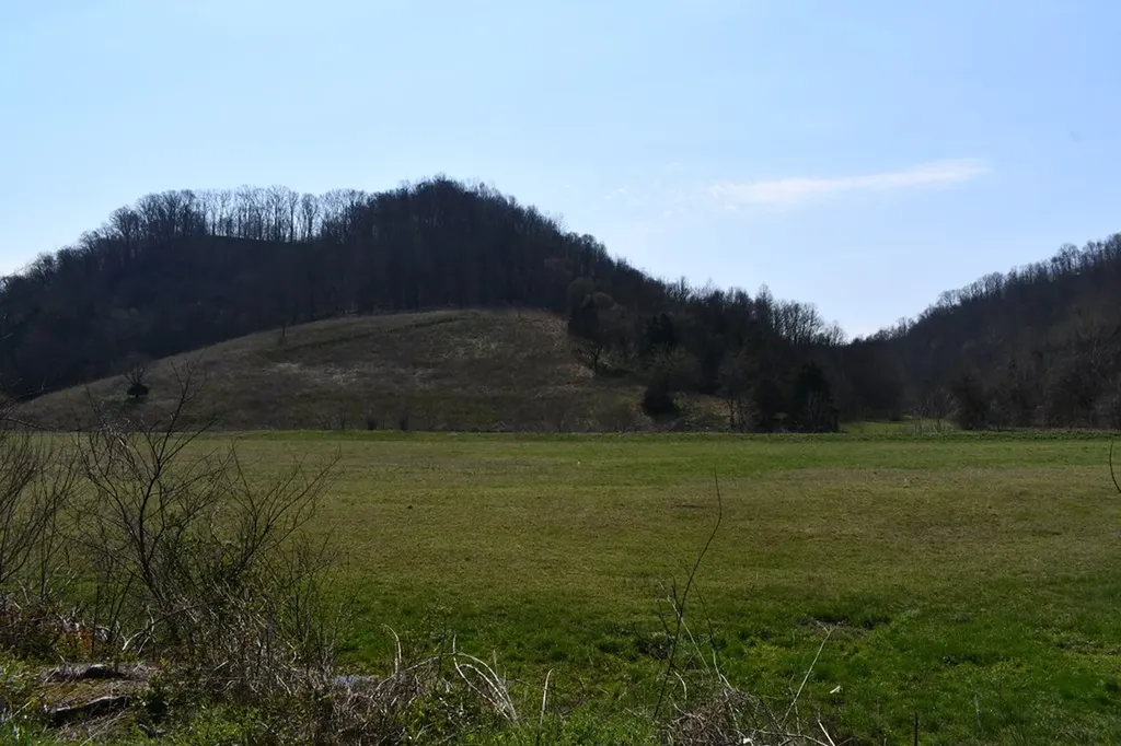 31.14 Ac Dry Mill Creek Road Hilham TN 38568