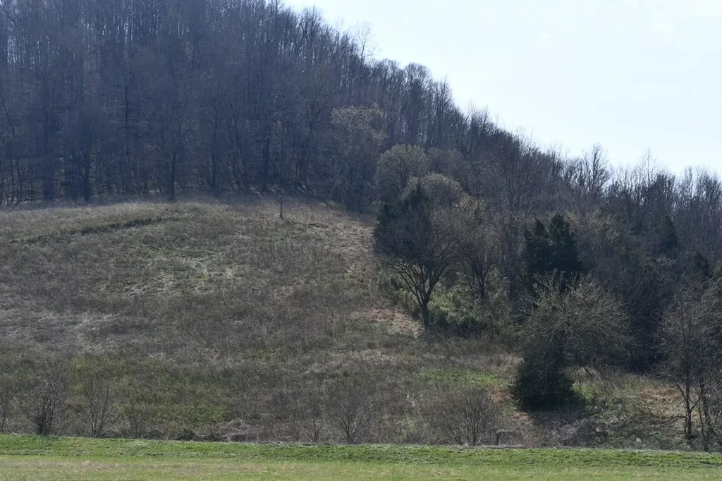 31.14 Ac Dry Mill Creek Road Hilham TN 38568