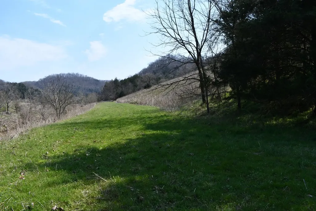 31.14 Ac Dry Mill Creek Road Hilham TN 38568
