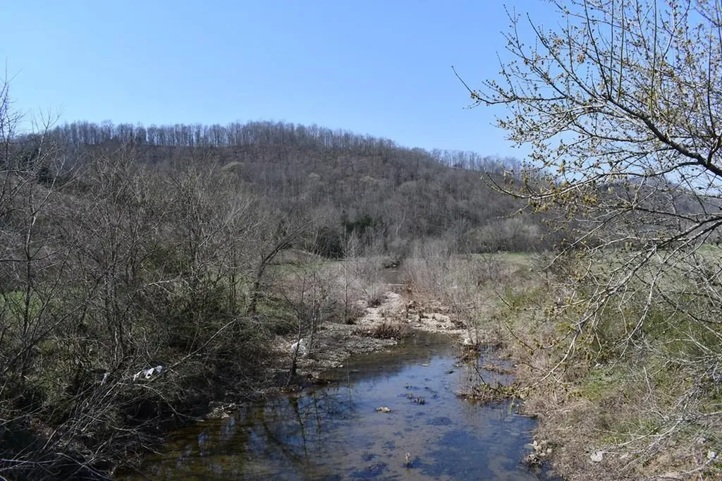 31.14 Ac Dry Mill Creek Road Hilham TN 38568