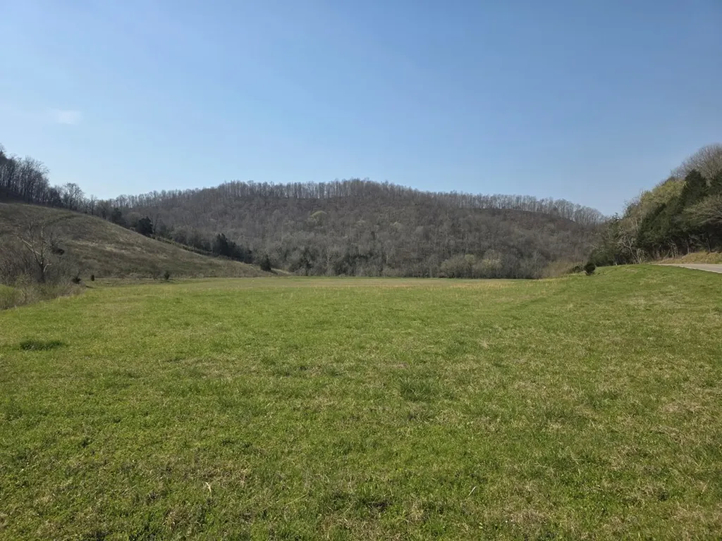31.14 Ac Dry Mill Creek Road Hilham TN 38568