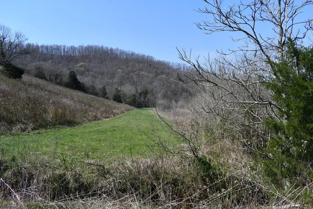31.14 Ac Dry Mill Creek Road Hilham TN 38568