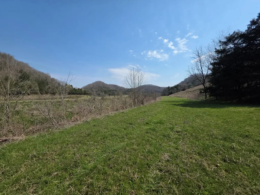 31.14 Ac Dry Mill Creek Road Hilham TN 38568