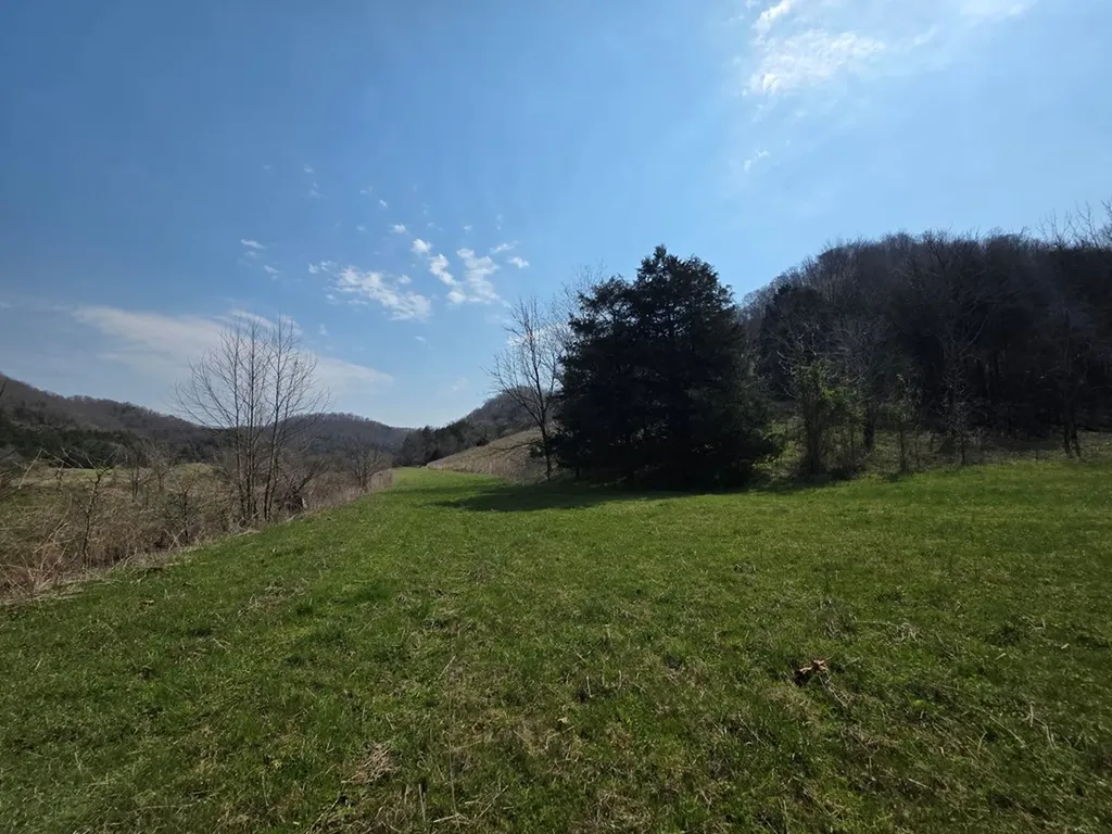 31.14 Ac Dry Mill Creek Road Hilham TN 38568