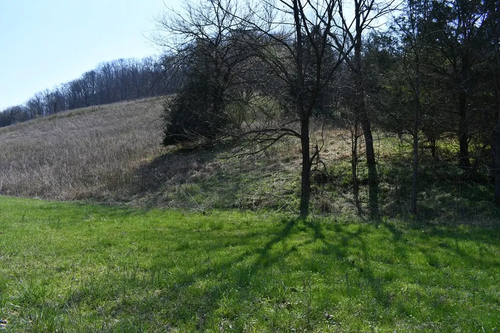 31.14 Ac Dry Mill Creek Road Hilham TN 38568