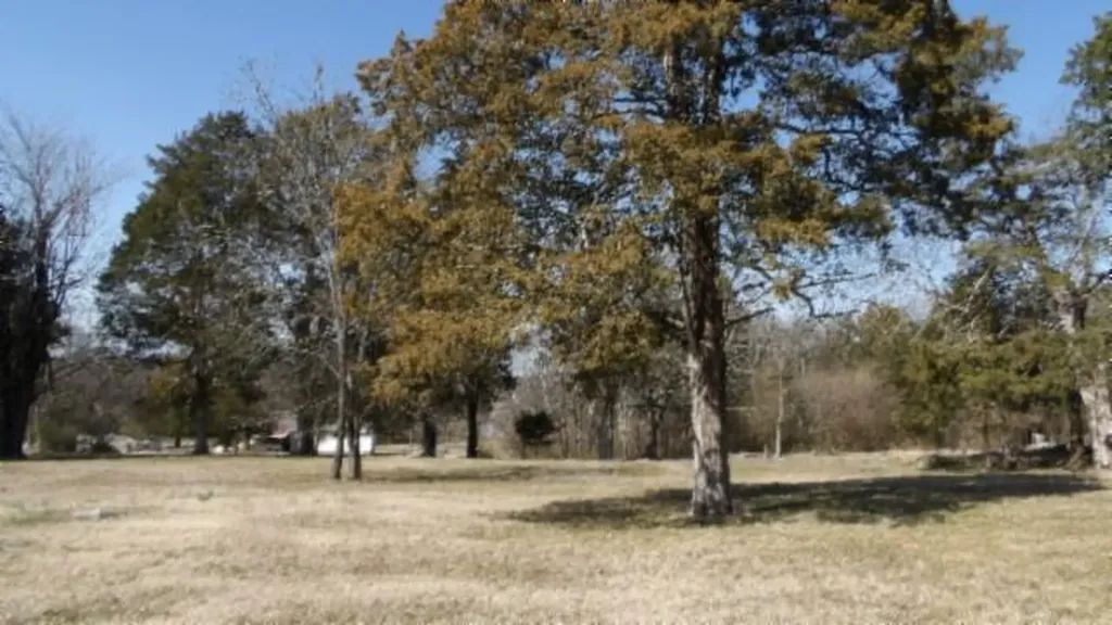 1586 Needmore Road Old Hickory TN 37138