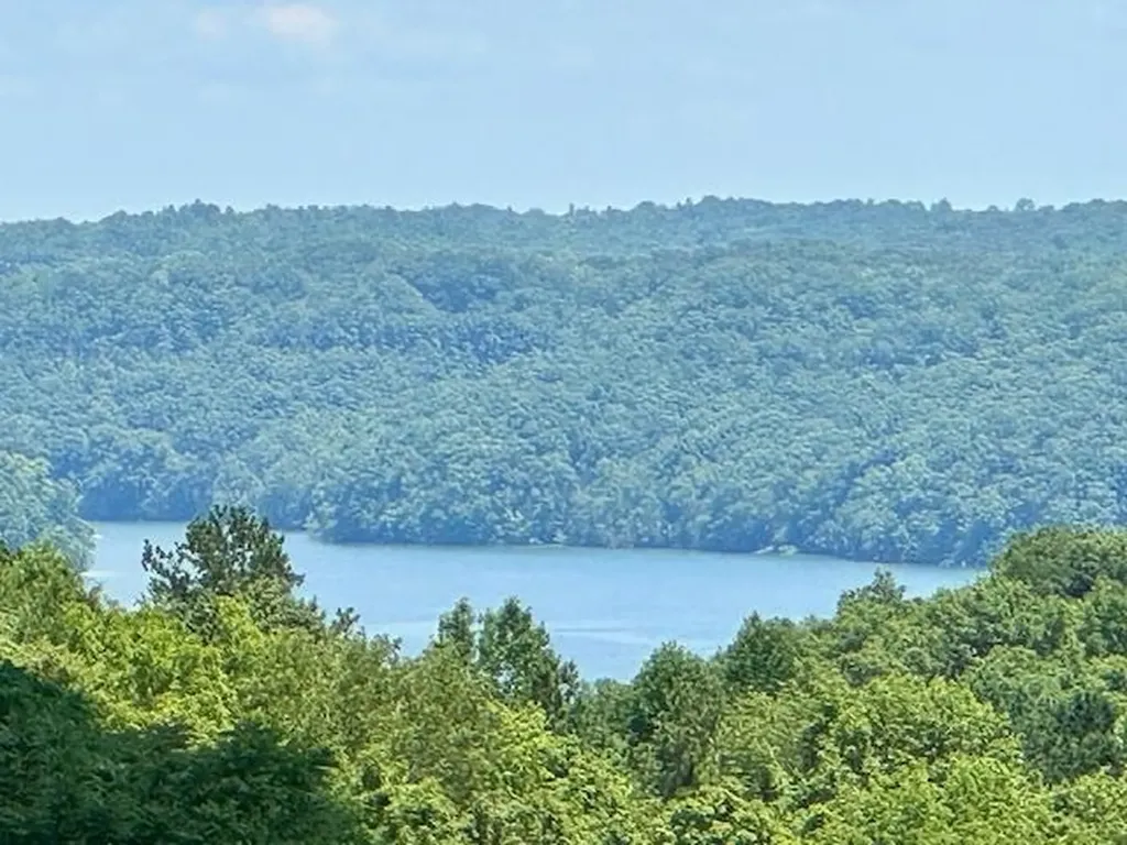 7318 Lillydale Road Byrdstown TN 38549