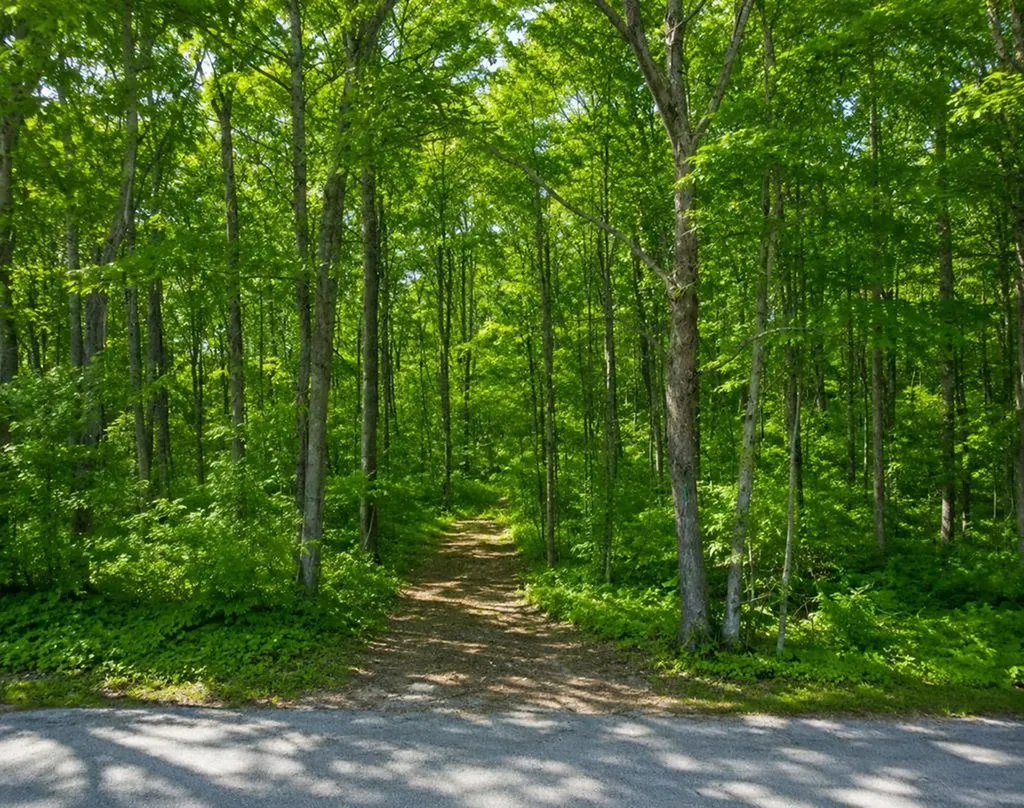10 Ac Jimmy Reneau Road Celina TN 38551
