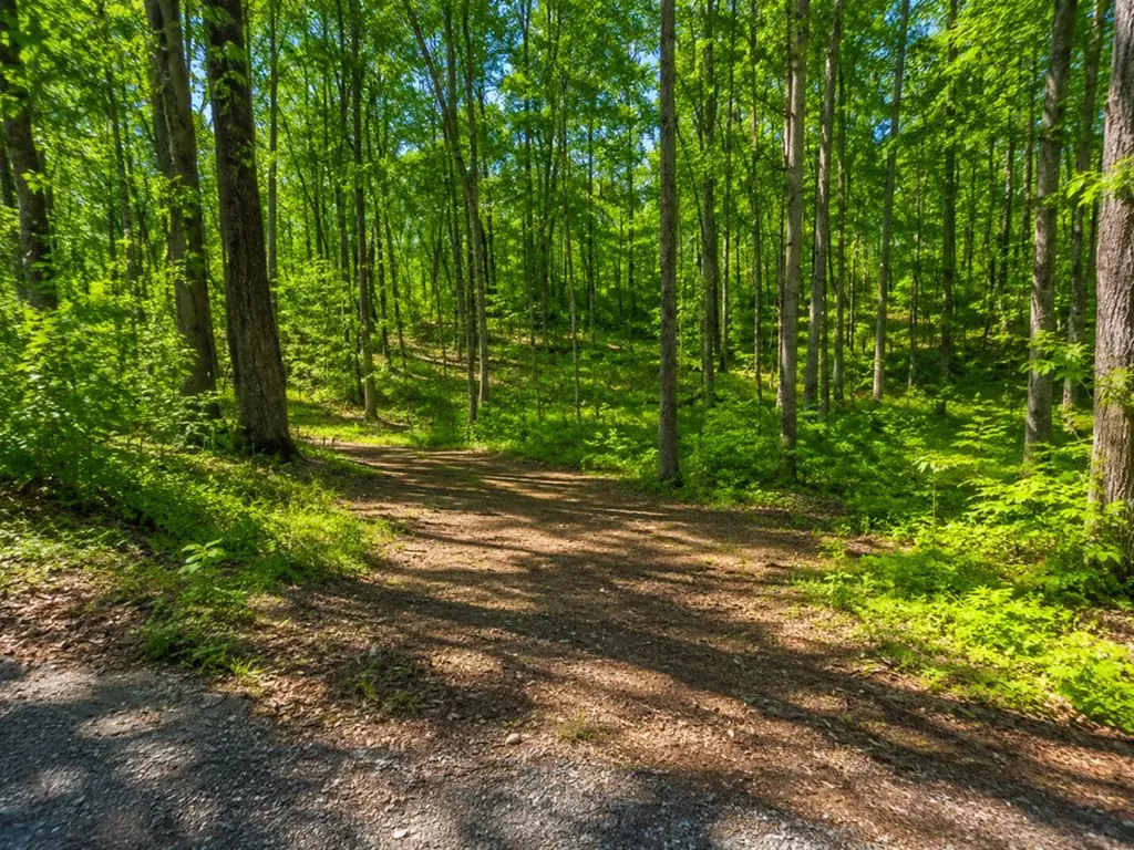 10 Ac Jimmy Reneau Road Celina TN 38551