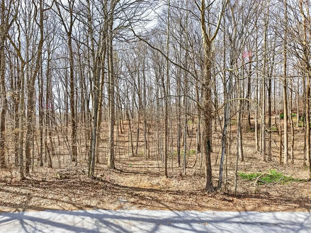 10 Ac Jimmy Reneau Road Celina TN 38551