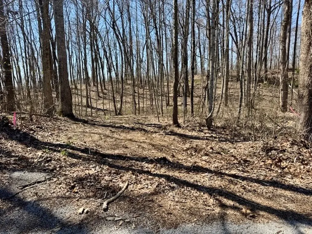 10 Ac Jimmy Reneau Road Celina TN 38551