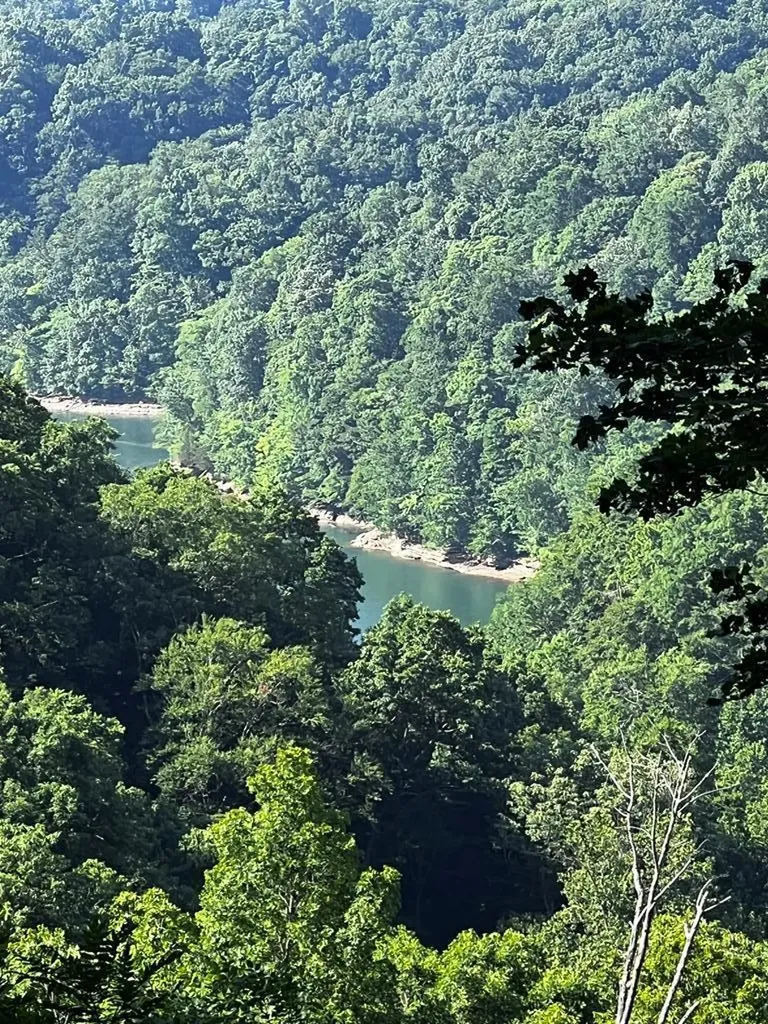 10 Ac Jimmy Reneau Road Celina TN 38551