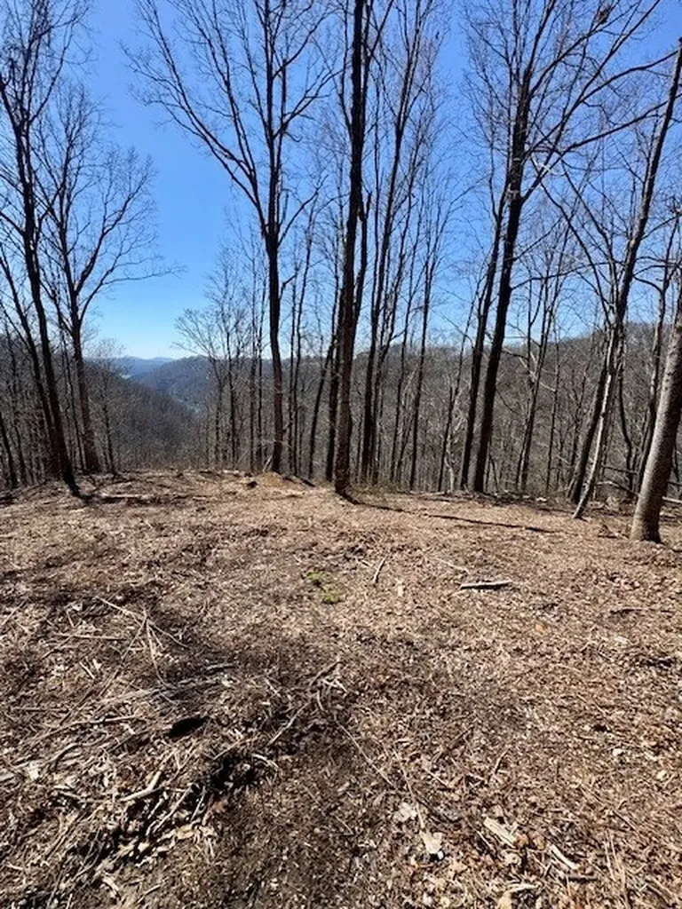 10 Ac Jimmy Reneau Road Celina TN 38551
