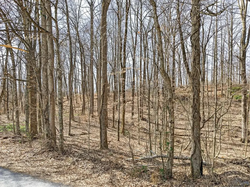 10 Ac Jimmy Reneau Road Celina TN 38551