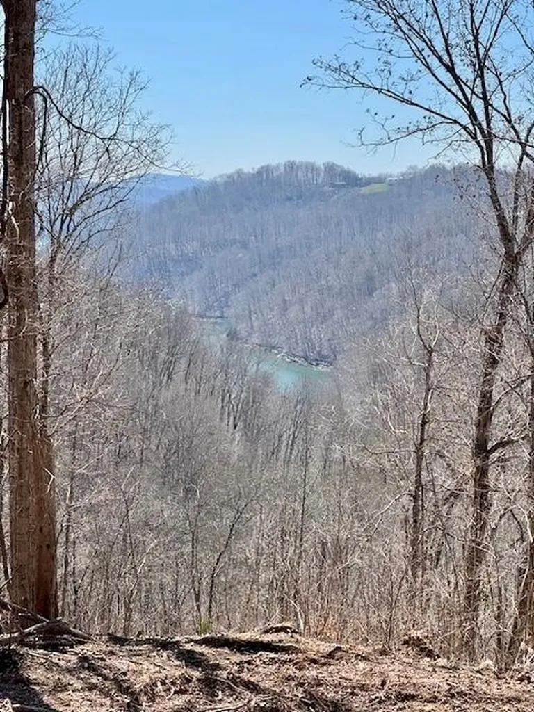 10 Ac Jimmy Reneau Road Celina TN 38551