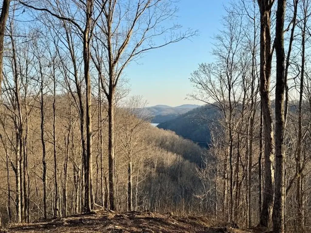 10 Ac Jimmy Reneau Road Celina TN 38551