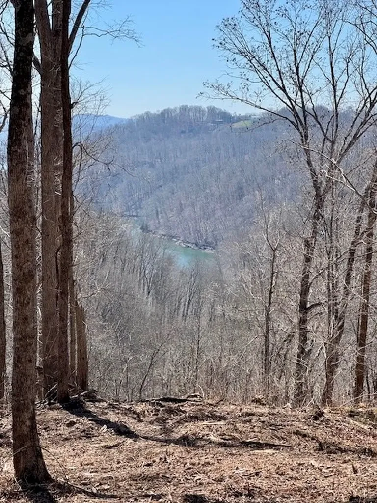 10 Ac Jimmy Reneau Road Celina TN 38551