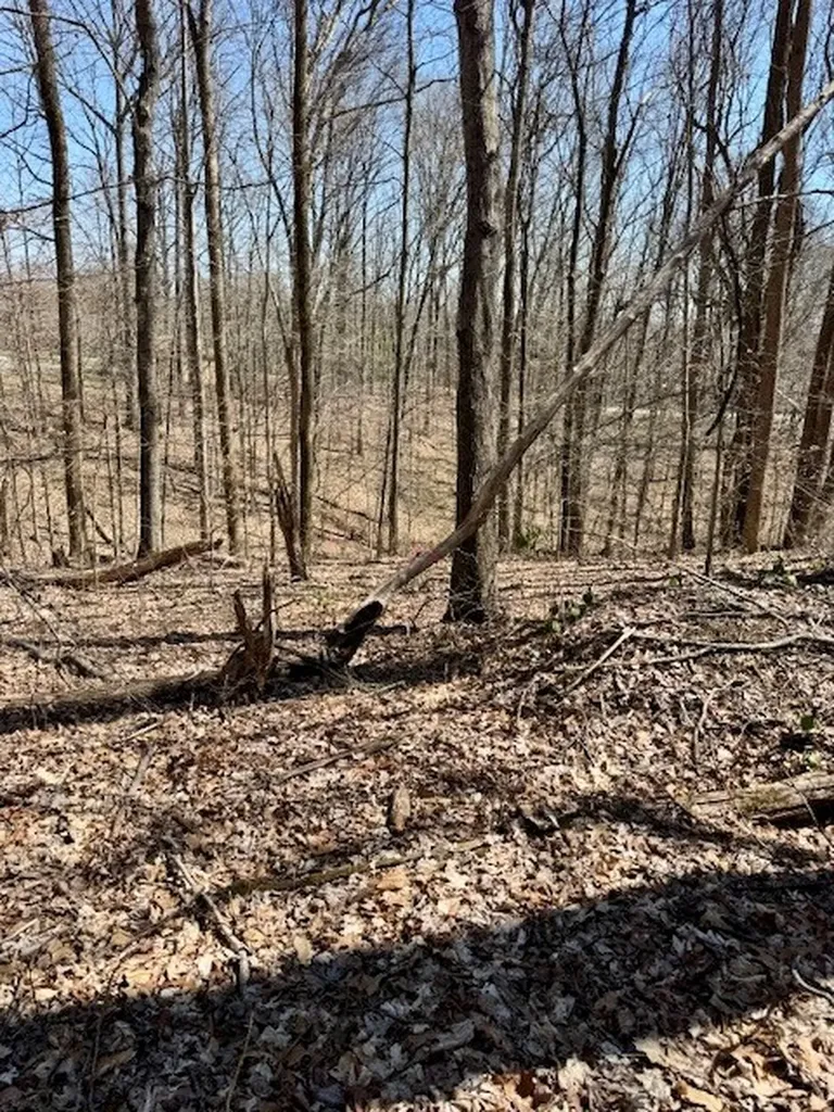 10 Ac Jimmy Reneau Road Celina TN 38551