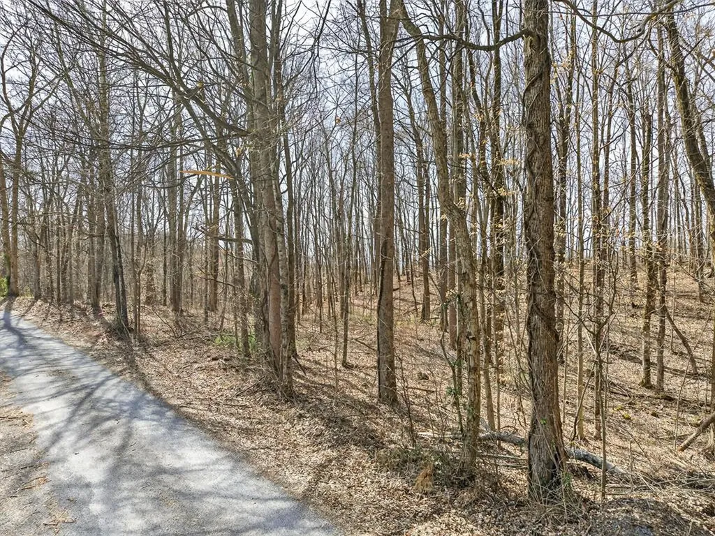 10 Ac Jimmy Reneau Road Celina TN 38551