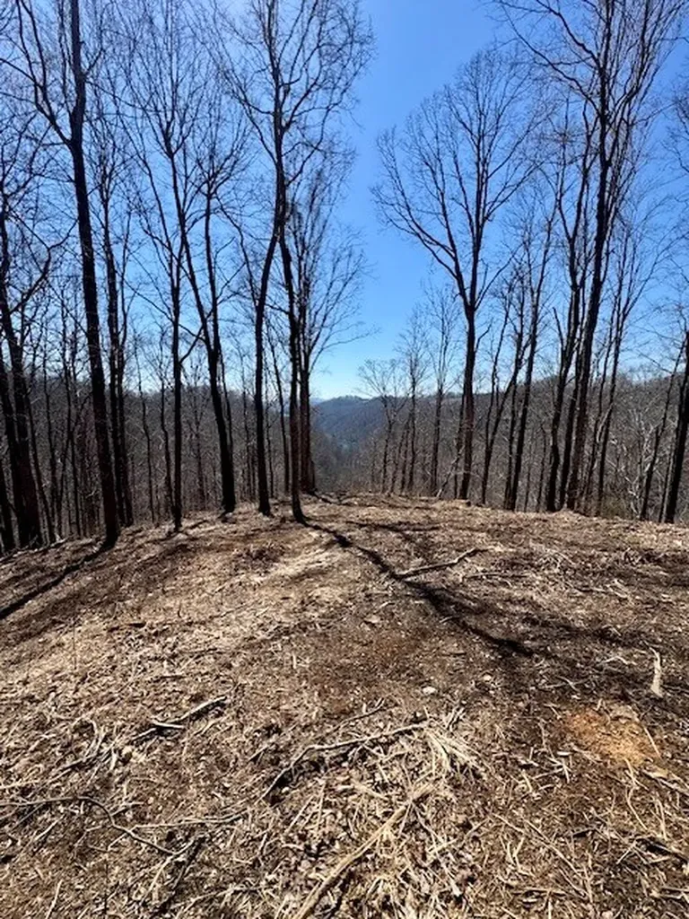 10 Ac Jimmy Reneau Road Celina TN 38551