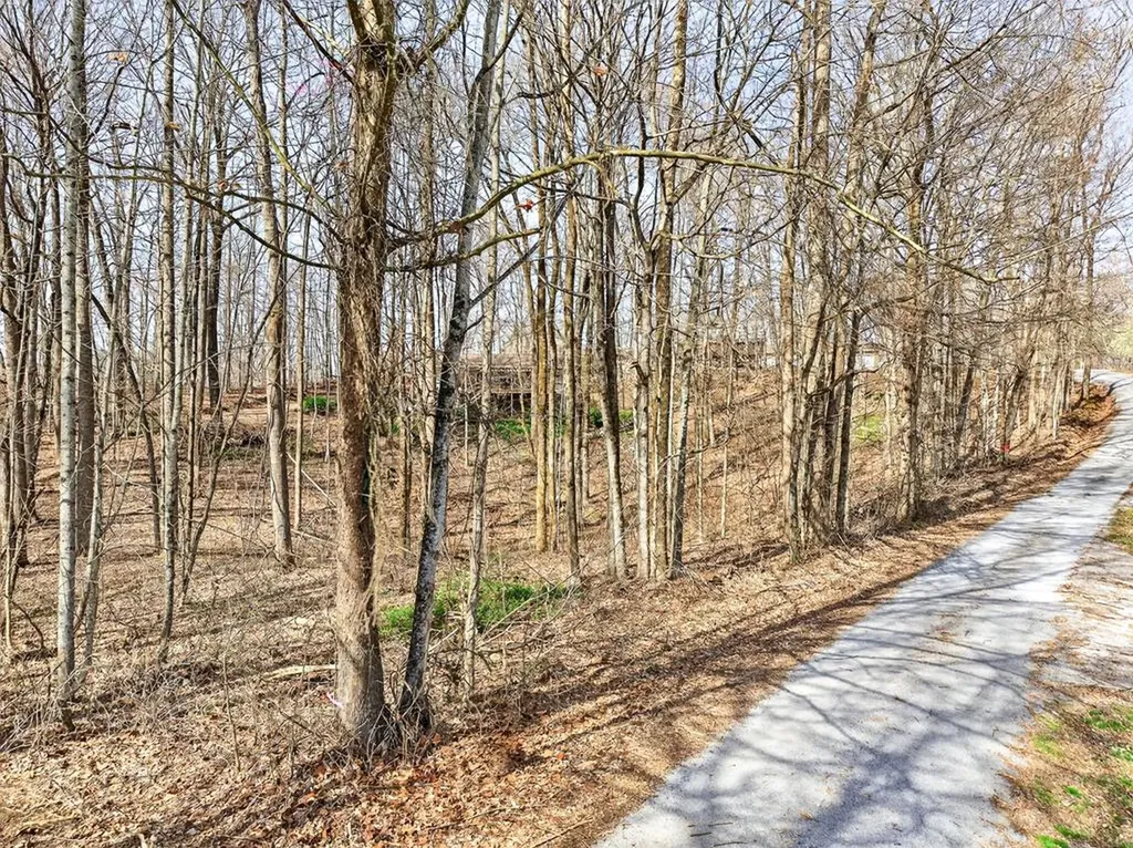 10 Ac Jimmy Reneau Road Celina TN 38551