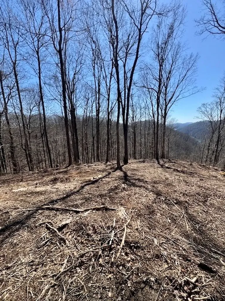 10 Ac Jimmy Reneau Road Celina TN 38551