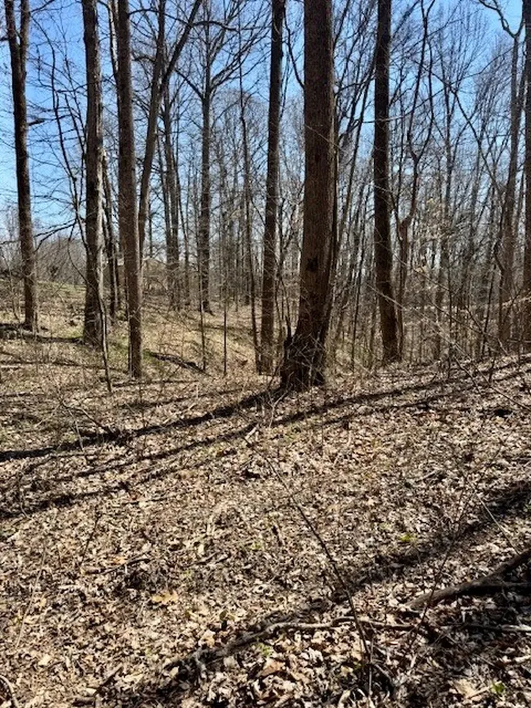 10 Ac Jimmy Reneau Road Celina TN 38551