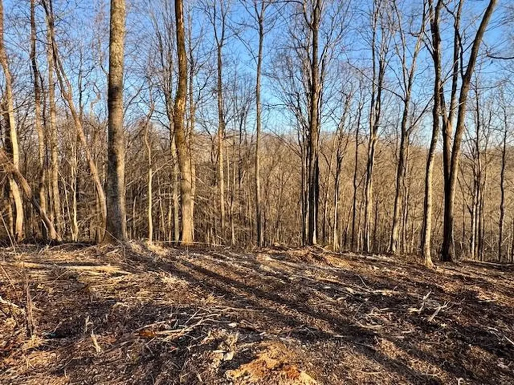 10 Ac Jimmy Reneau Road Celina TN 38551
