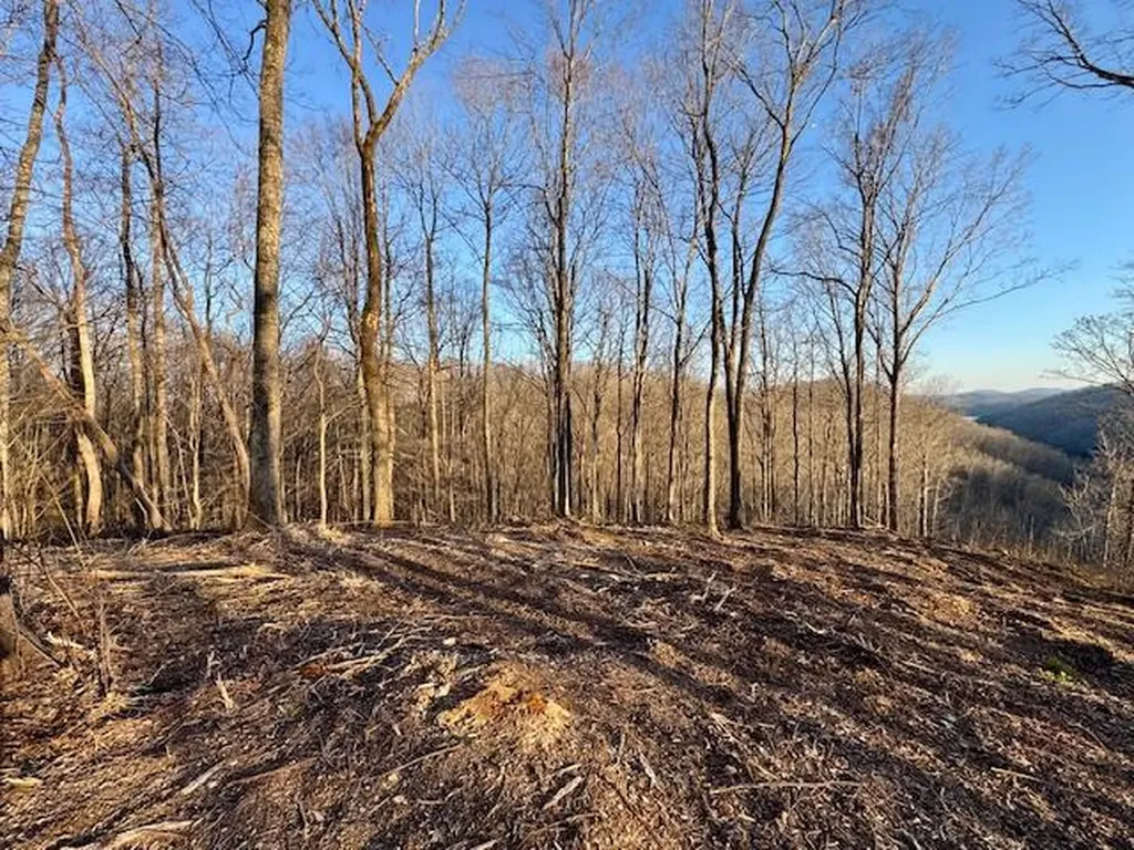 10 Ac Jimmy Reneau Road Celina TN 38551