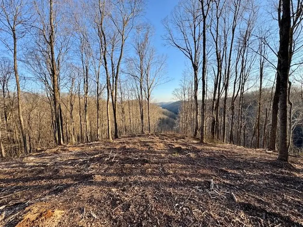 10 Ac Jimmy Reneau Road Celina TN 38551