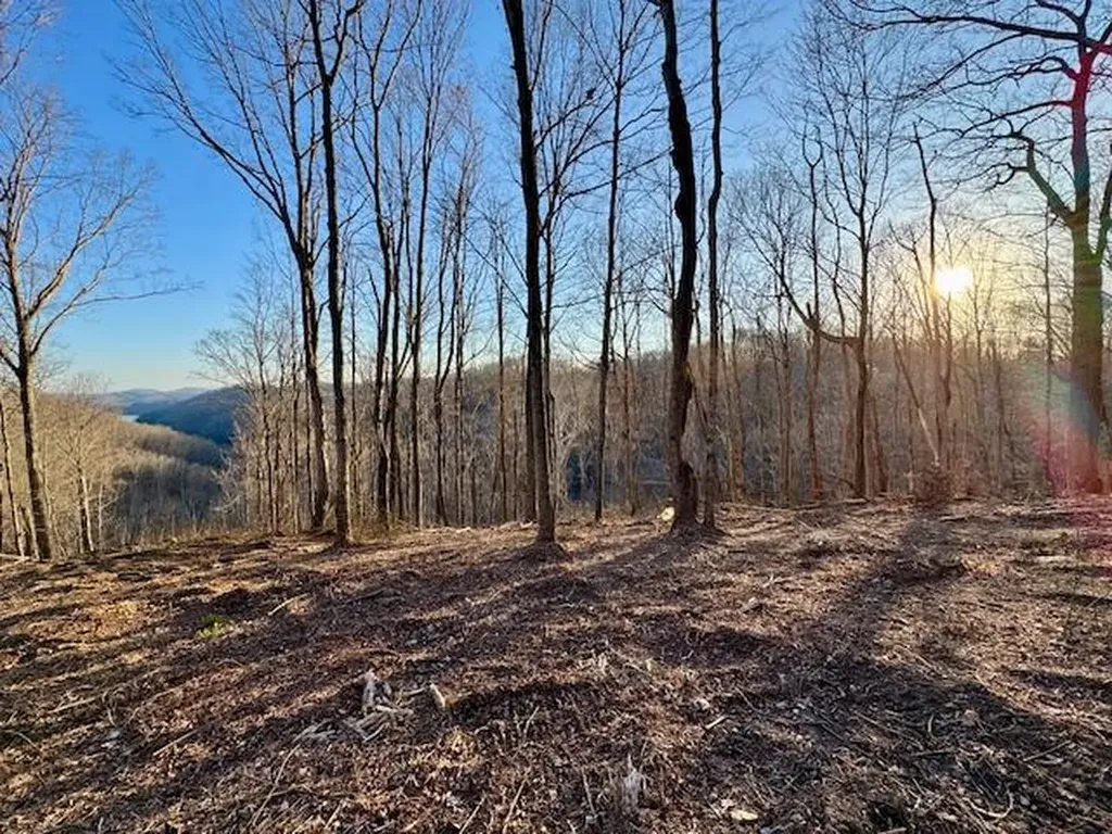 10 Ac Jimmy Reneau Road Celina TN 38551