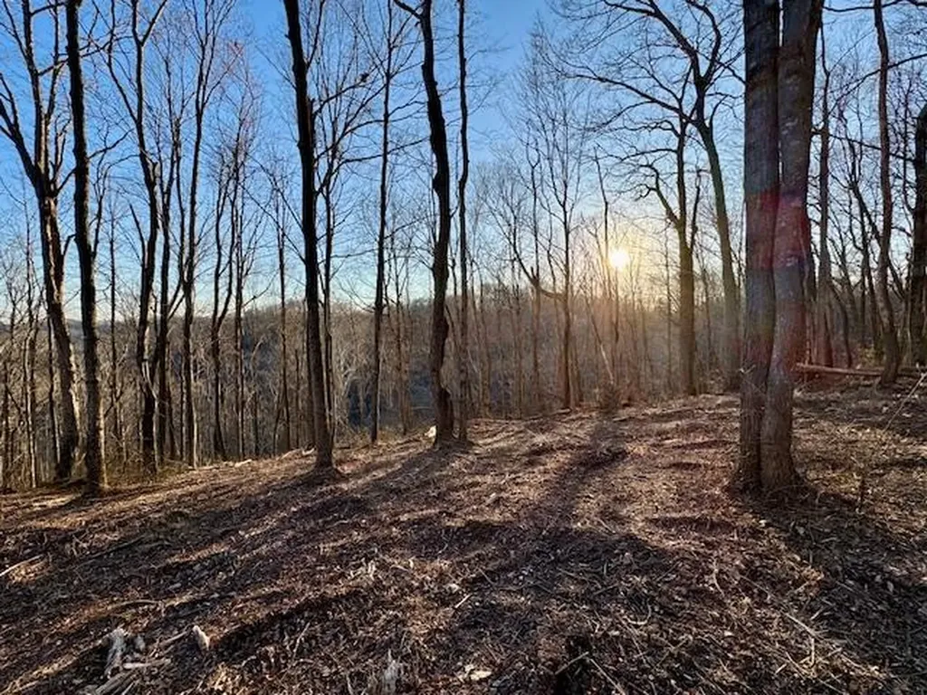 10 Ac Jimmy Reneau Road Celina TN 38551