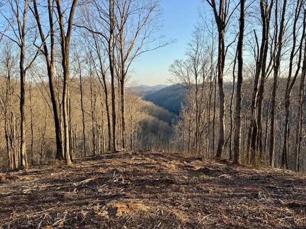 10 Ac Jimmy Reneau Road Celina TN 38551