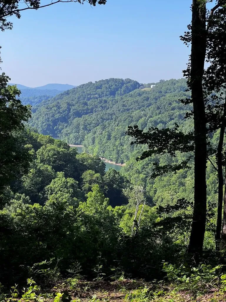 10 Ac Jimmy Reneau Road Celina TN 38551