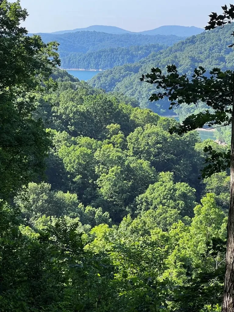 10 Ac Jimmy Reneau Road Celina TN 38551