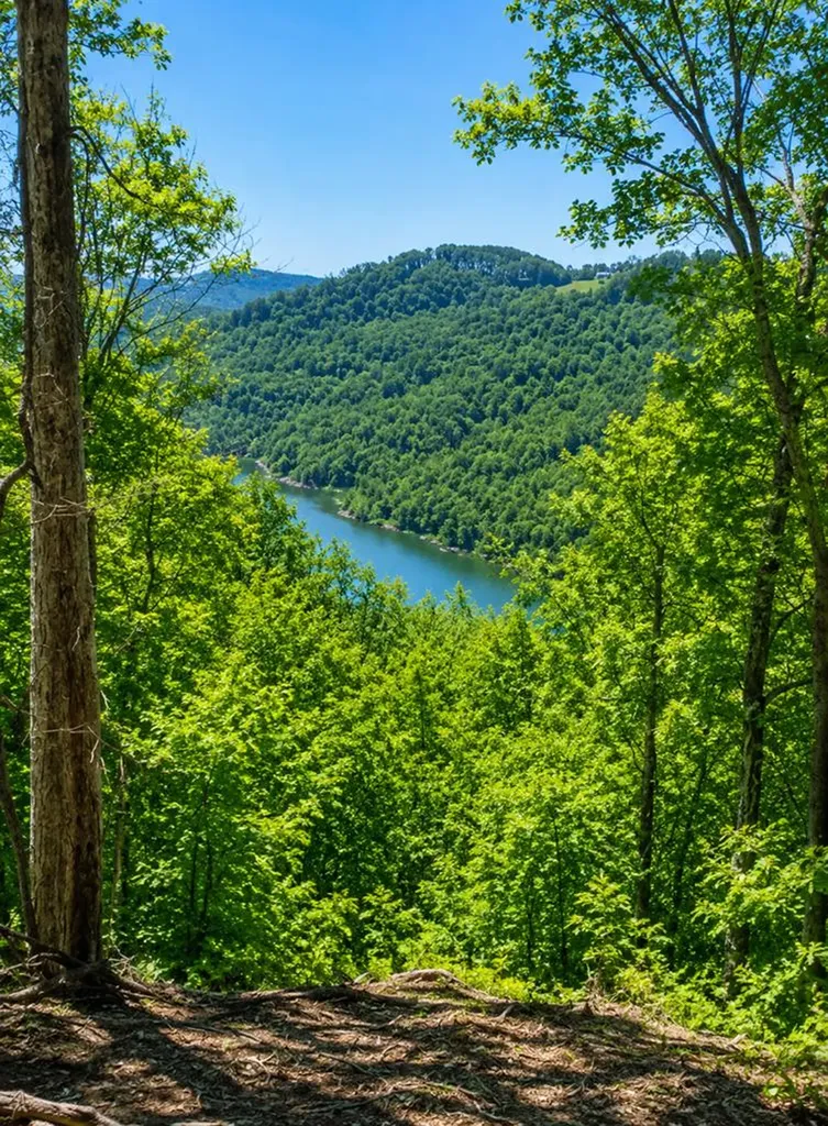 10 Ac Jimmy Reneau Road Celina TN 38551