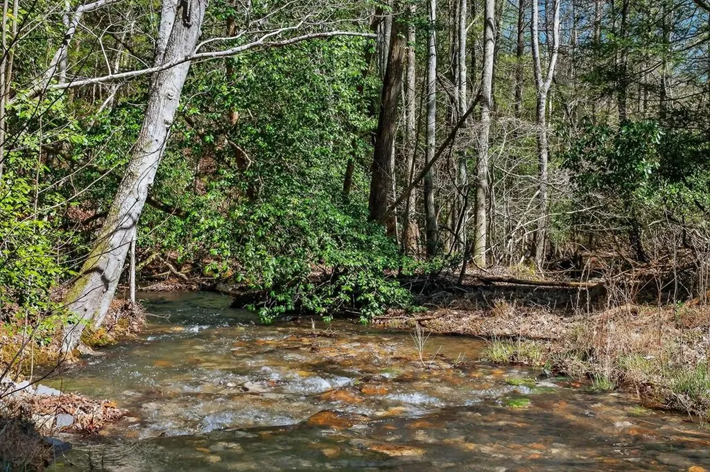 573AC Daus Mountain Road Palmer TN 38365