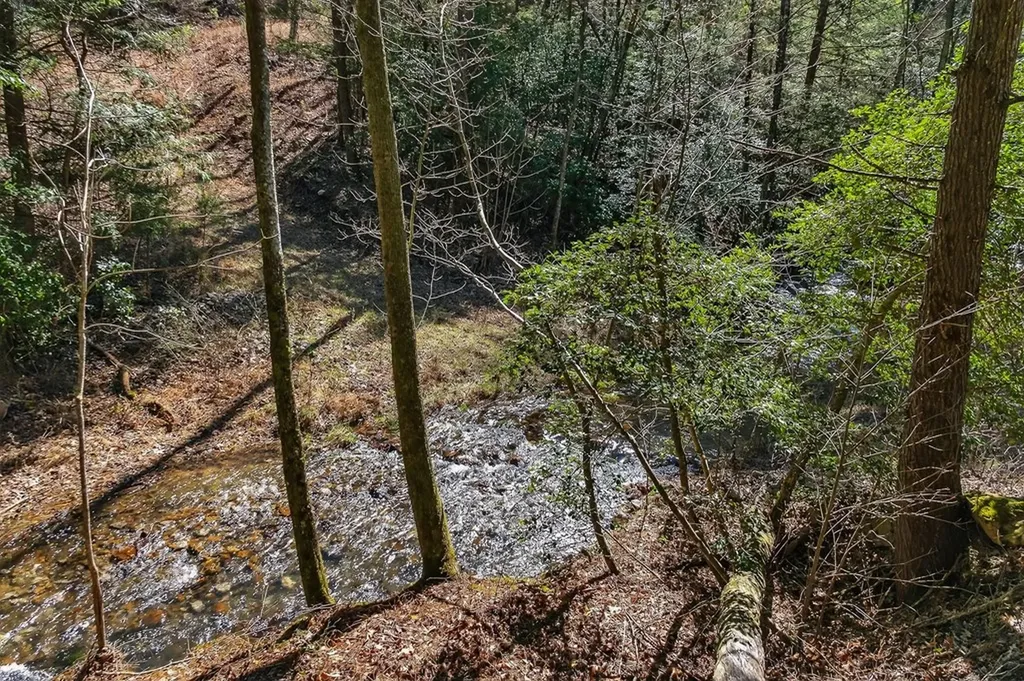 573AC Daus Mountain Road Palmer TN 38365