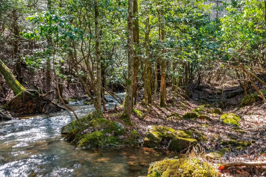 573AC Daus Mountain Road Palmer TN 38365