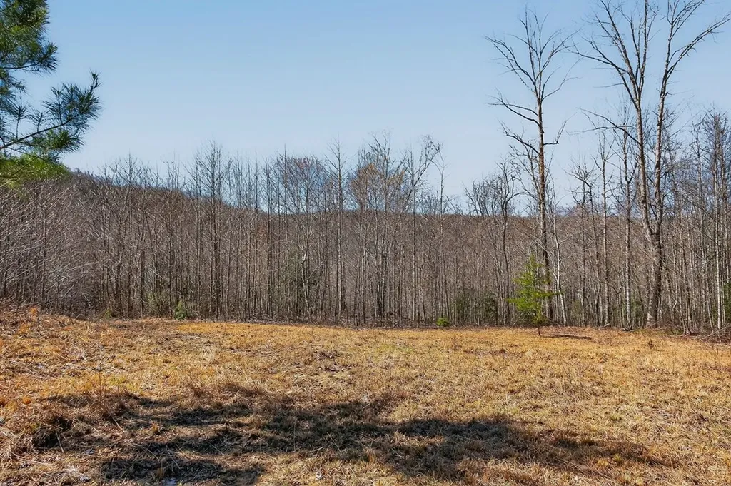 573AC Daus Mountain Road Palmer TN 38365