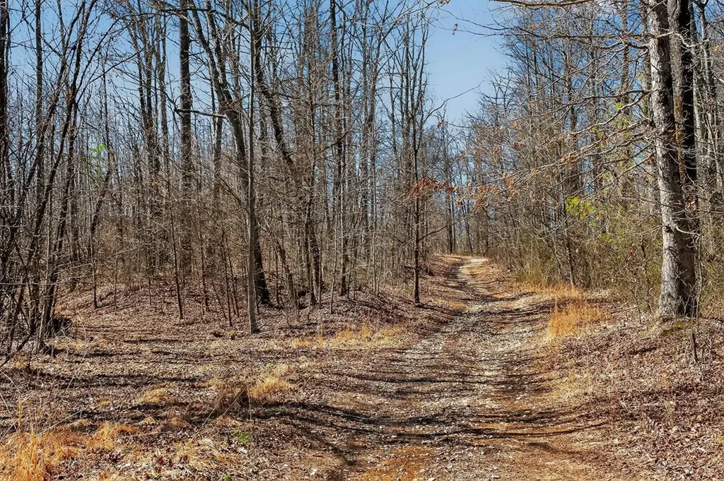 573AC Daus Mountain Road Palmer TN 38365