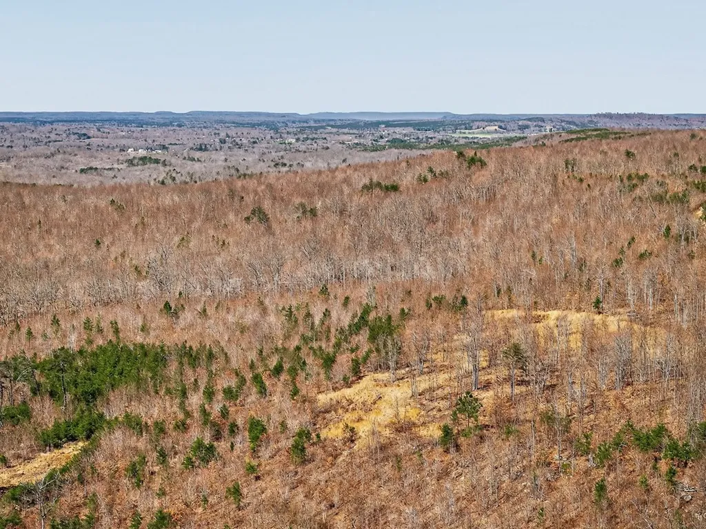 573AC Daus Mountain Road Palmer TN 38365
