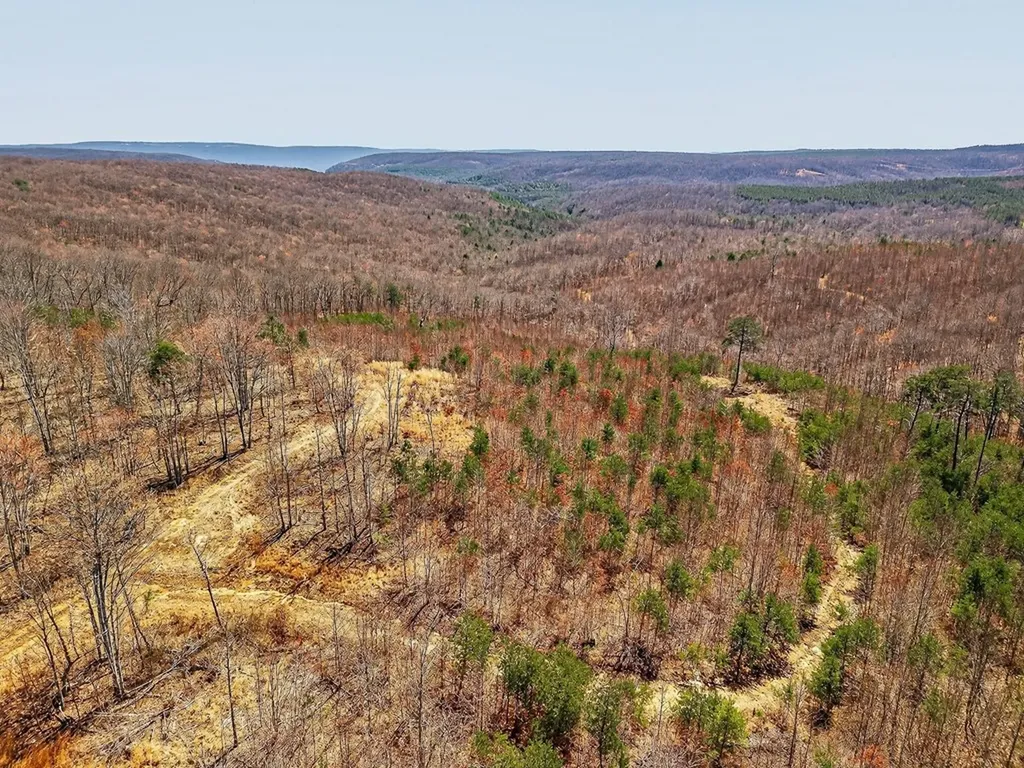 573AC Daus Mountain Road Palmer TN 38365