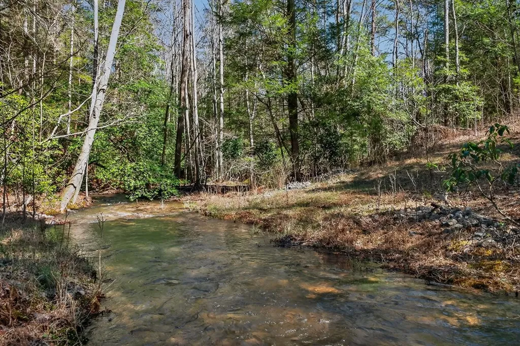 573AC Daus Mountain Road Palmer TN 38365