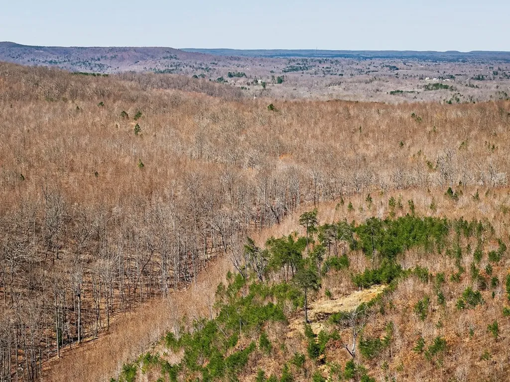 573AC Daus Mountain Road Palmer TN 38365