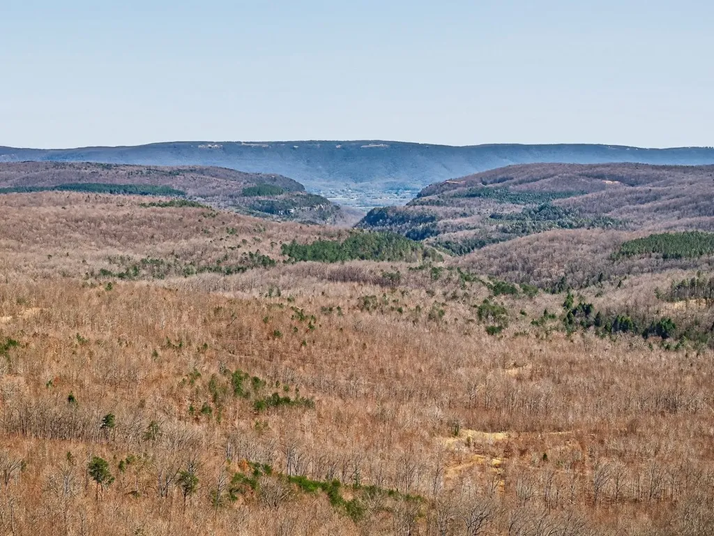 573AC Daus Mountain Road Palmer TN 38365